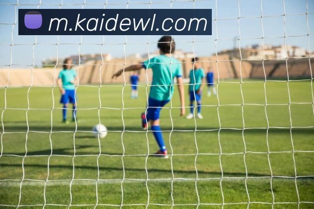 开拓者若能迅速提升球队前景将考虑交易霍勒迪以求更好发展